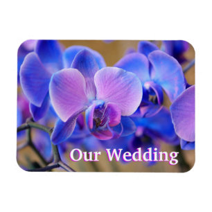 Íman Nosso Magnete de Orquídea Azul e Rosa de Casament