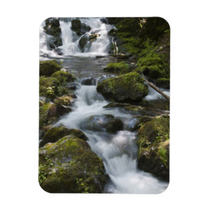 Íman Nova Brunswick, Canadá. Dickson Falls em Fundy