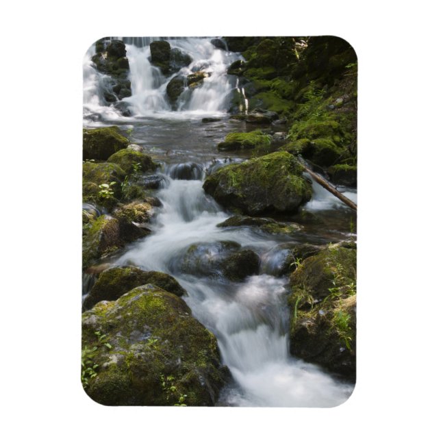 Íman Nova Brunswick, Canadá. Dickson Falls em Fundy (Vertical)