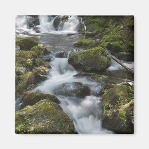 Íman Nova Brunswick, Canadá. Dickson Falls em Fundy