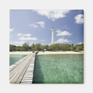 Íman Nova Caledónia, Amedee Islet. Amedee Islet Pier.