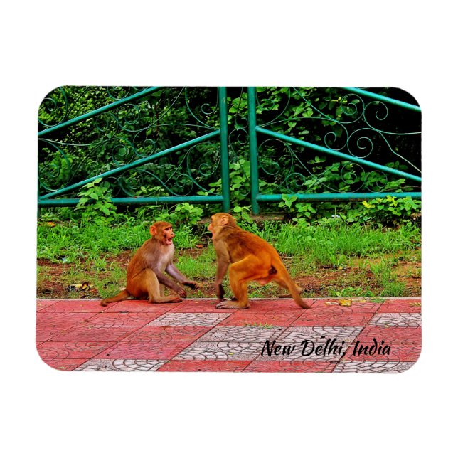 Íman Nova Deli, Índia (Horizontal)