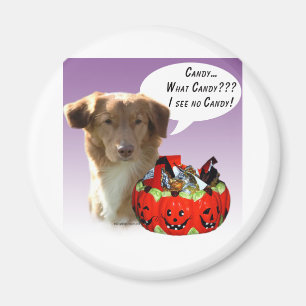 Íman Nova Escócia Duck Tolling Retriever Halloween Cand