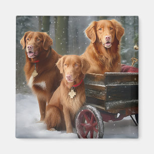 Íman Nova Scotia Duck Toller Retriever Trenó Nevado