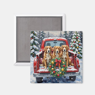 Íman Nova Scotia Duck Tolling Retriever Natal Vermelho