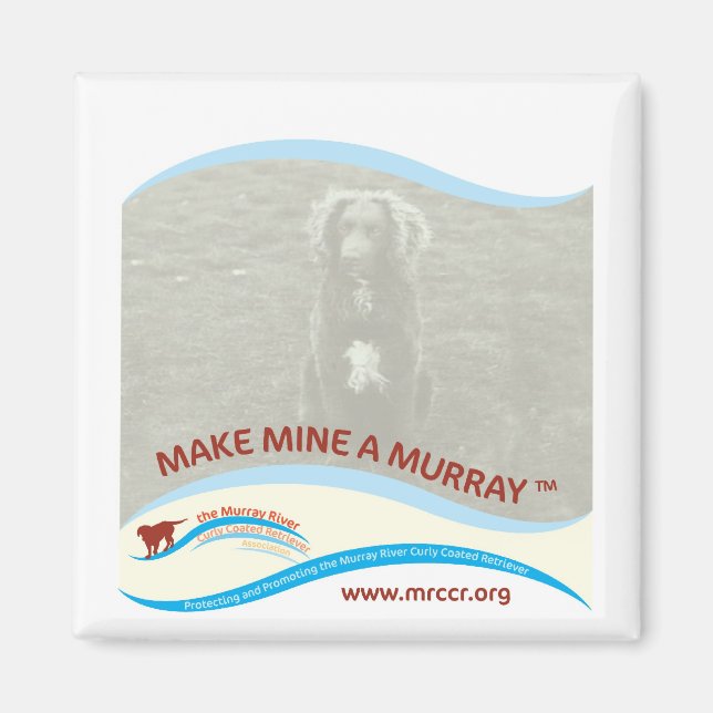 Íman Nova Torne Mina Um Magnetinho De Murray (Frente)