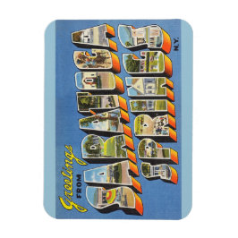 Íman Nova York, Saratoga Primavera Magnet