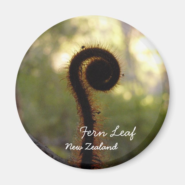 Íman Nova Zelândia, Aotearoa, Fern Leaf (Magnet) (Frente)