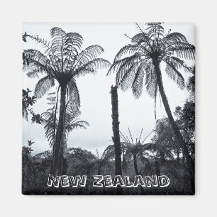 Íman Nova Zelândia, floresta da árvore da samambaia