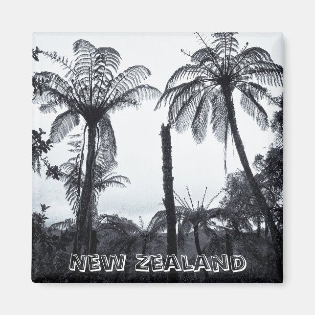 Íman Nova Zelândia, Floresta Fern (Imã de geladeira) (Frente)