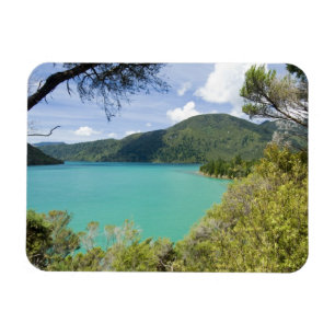 Íman Nova Zelândia, Ilha do Sul, Marlborough Sounds.