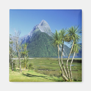 Íman Nova Zelândia, Ilha do Sul, Pico Mitre,