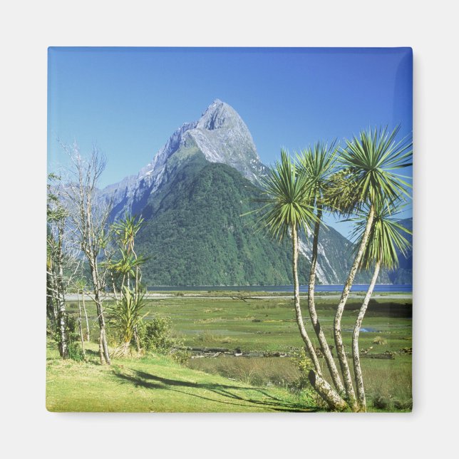 Íman Nova Zelândia, Ilha do Sul, Pico Mitre, (Frente)
