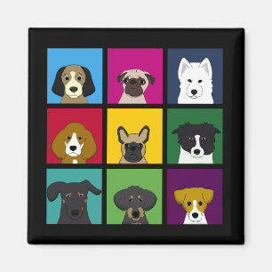 Íman Nove cães