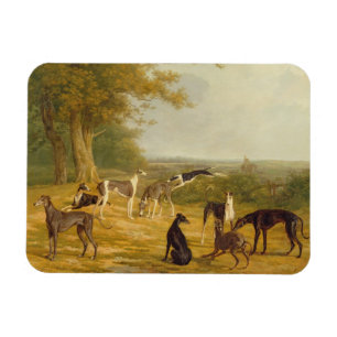 Íman Nove galgos em uma paisagem (óleo em canvas)