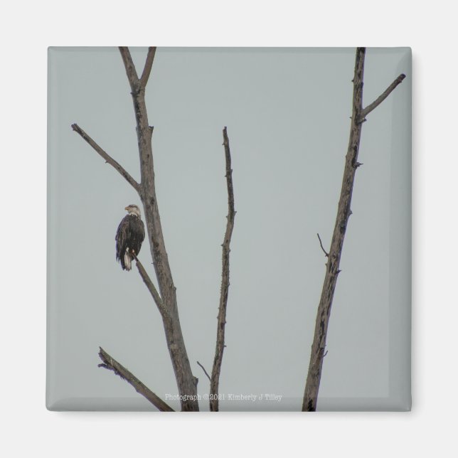 Íman Novembro (Frente)