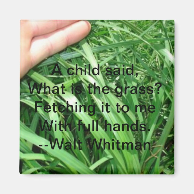 Íman Novo conjunto de ímãs pai 5 de 5 (Frente)