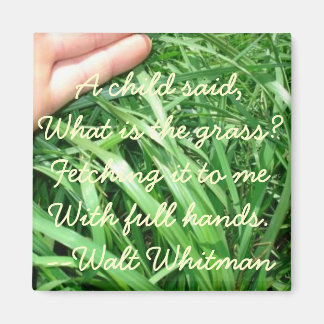 Íman Novo conjunto de ímãs pai 5 de 5 (aprimorado)