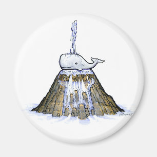 Íman Novo ímã de fonte Whalom