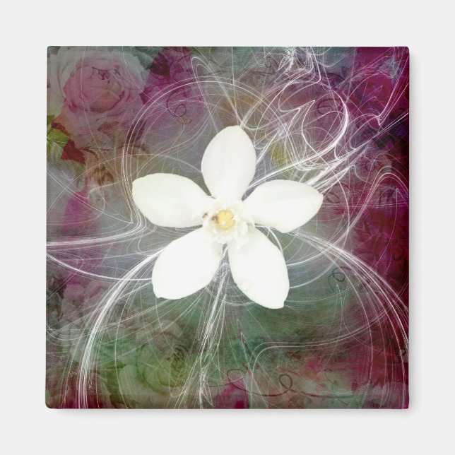 Íman Novo Magnet Quadrado Grande (Frente)