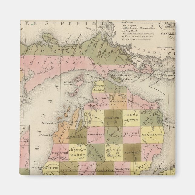 Íman Novo Mapa De Michigan (Frente)