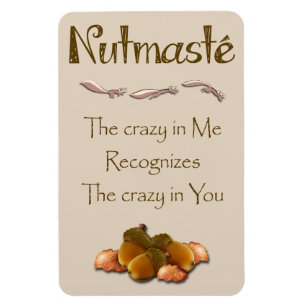 Íman Noz