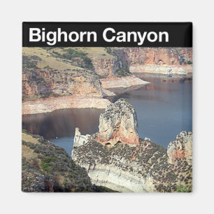Íman NRA da garganta do Bighorn