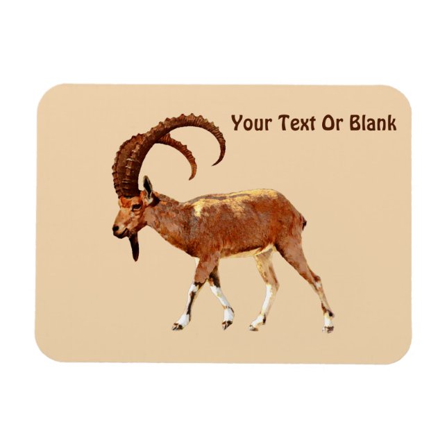 Íman Nubian Ibex - Ein Gedi (Horizontal)