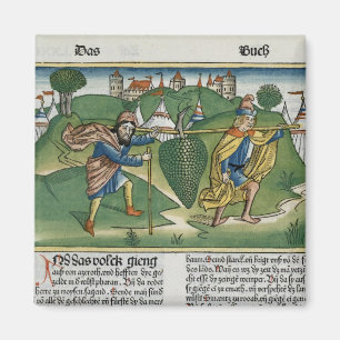 Íman Números 13 23 as uvas de Eschol, 'do Nure