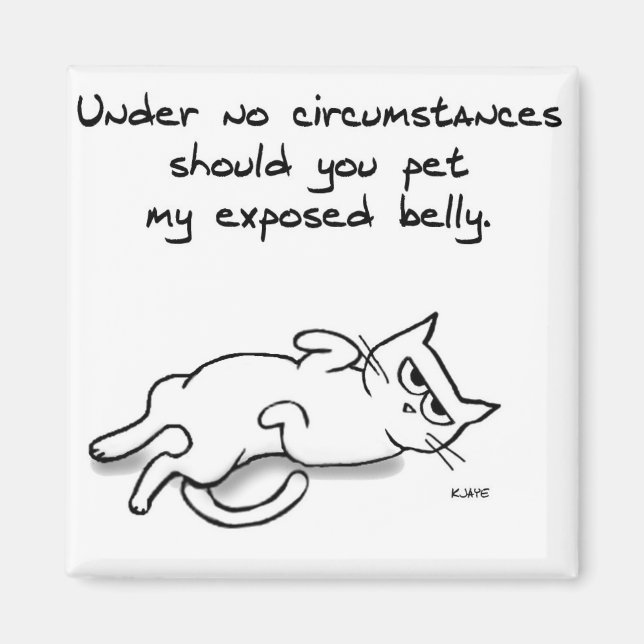 Íman Nunca Coloque a barriga de gato - Imã de geladeira (Frente)