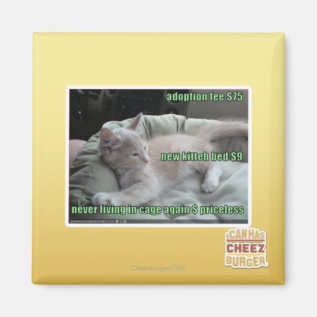 Íman Nunca mais vivendo em uma gaiola (Frente)