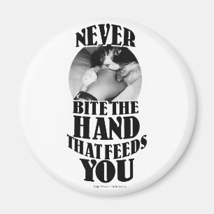 Íman Nunca morda essa mão