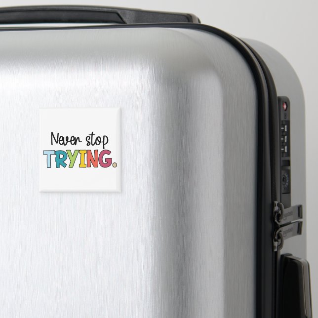 Íman Nunca Pare De Tentar (In Situ (Luggage))