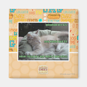 Íman Nunca vivendo em uma gaiola outra vez