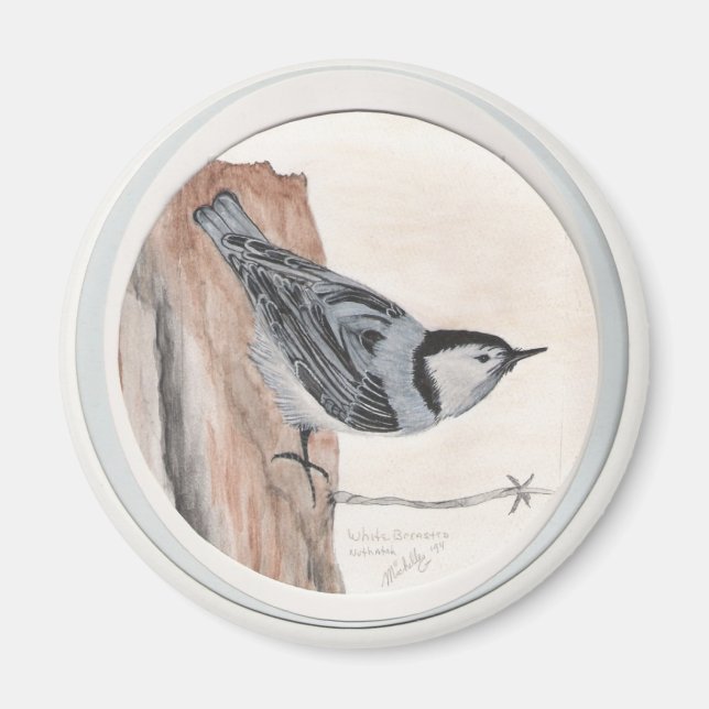 Íman nuthatch bravo (Frente)