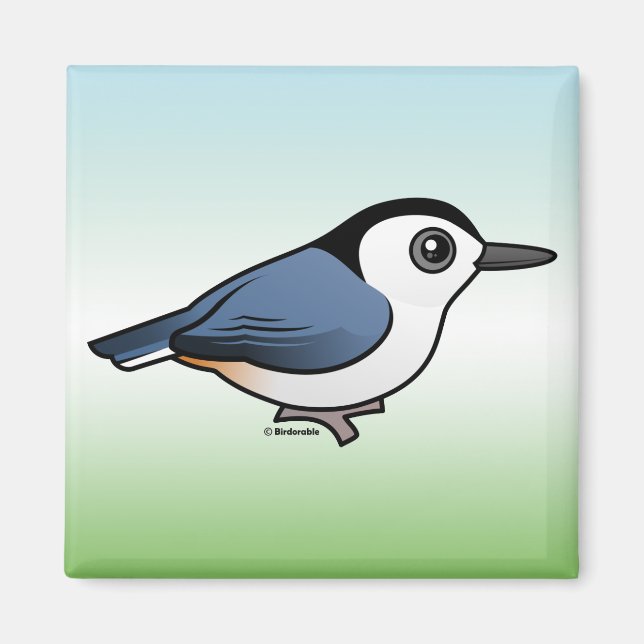 Íman Nuthatch de peito branco (Frente)