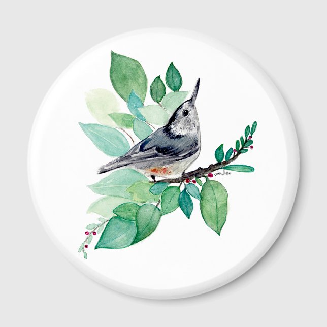 Íman Nuthatch Na Ramificação (Nuthatch On Branch Magnet by Jenn Steffen Art)