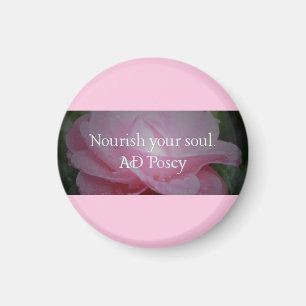 Íman Nutricione o seu magneto do Escritório de Almas