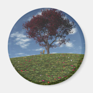 Íman Nuvens velejam por ímã