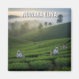 Íman Nuwara Eliya Tea Plantation Sri Lanka