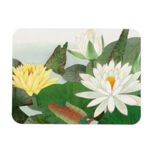 Íman Nymphaea lotus, xilogravura japonesa, 1917