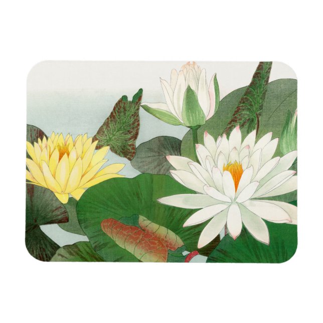 Íman Nymphaea lotus, xilogravura japonesa, 1917 (Horizontal)
