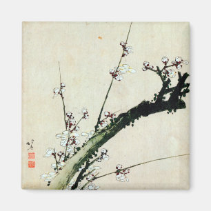 Íman o 梅花, ameixa do 北斎 floresce, Hokusai, Ukiy