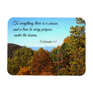 Íman O 3:1 de Ecclesiastes a tudo lá é uma estação.