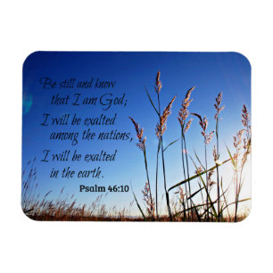 Íman O 46:10 do salmo seja ainda e saiba que eu sou