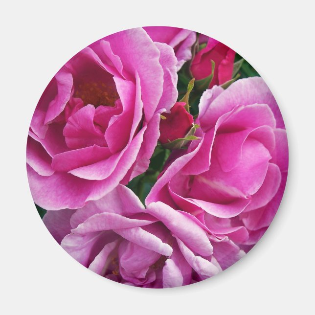 Íman O Amigo Compaixão (Frente)