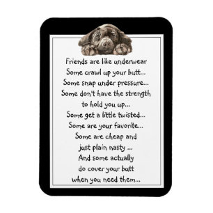 Íman O amigo do divertimento é como citações do roup