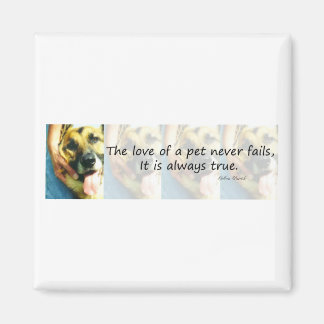 Íman O Amor de um Pet