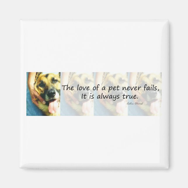 Íman O Amor de um Pet (Frente)