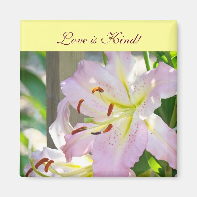 Íman O amor é gentil! ímãs presentes Flores Rosa Lírio (Frente)